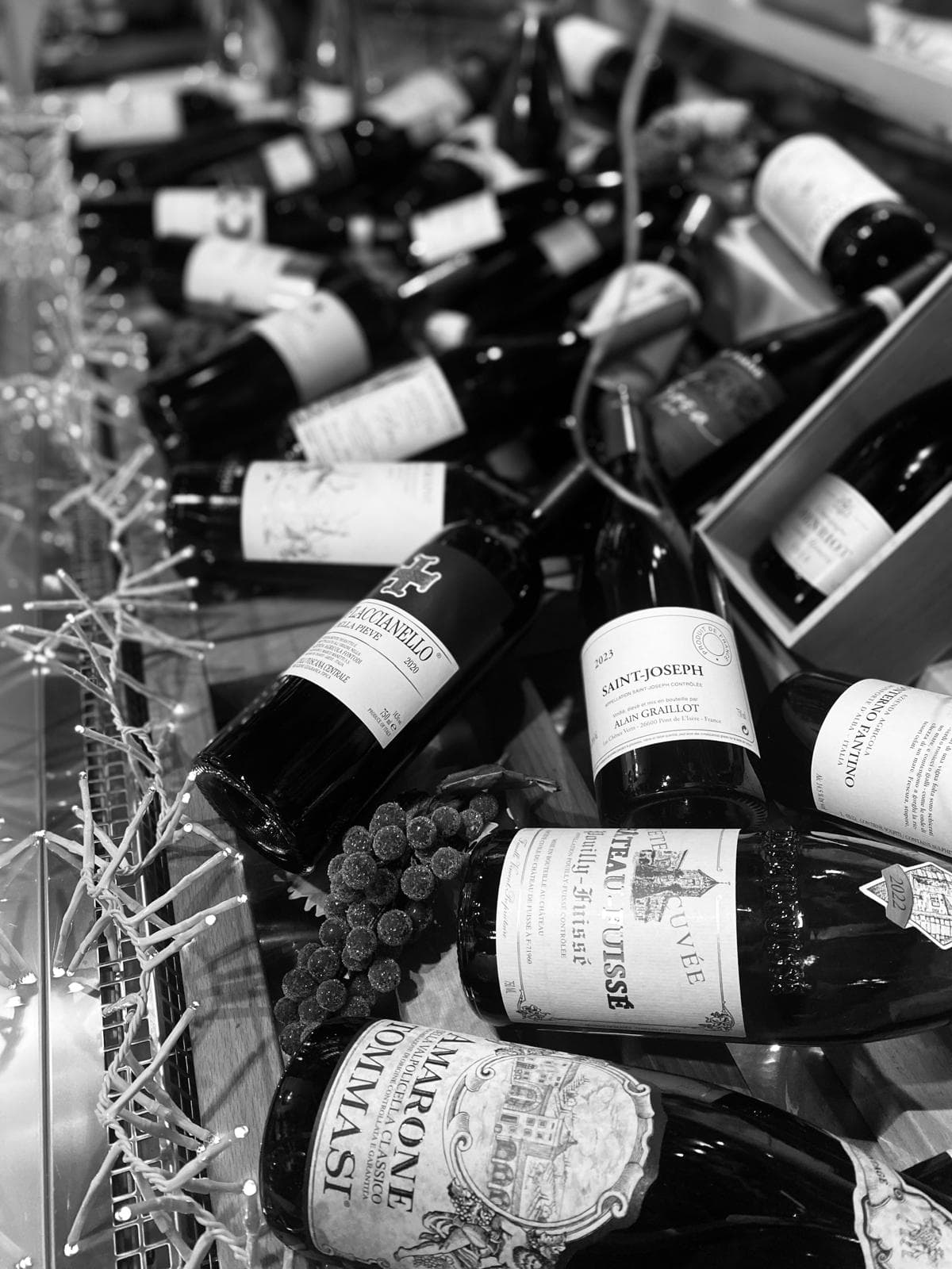 Selezione bottiglie di vino